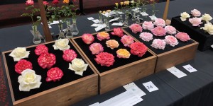 American rose boxes are displayed for judging at the 2019 North Central District Rose Show 