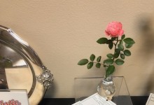 Decorative Rose Challenge 2019 NCD Rose Show exhibited by Lynda Fleming, Alisha