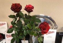 Wilcox Challenge Class  2019 NCD Rose Show, Diane Sommers 3 red hybrid teas Mr. Caleb, Hot Prince & Black Magic